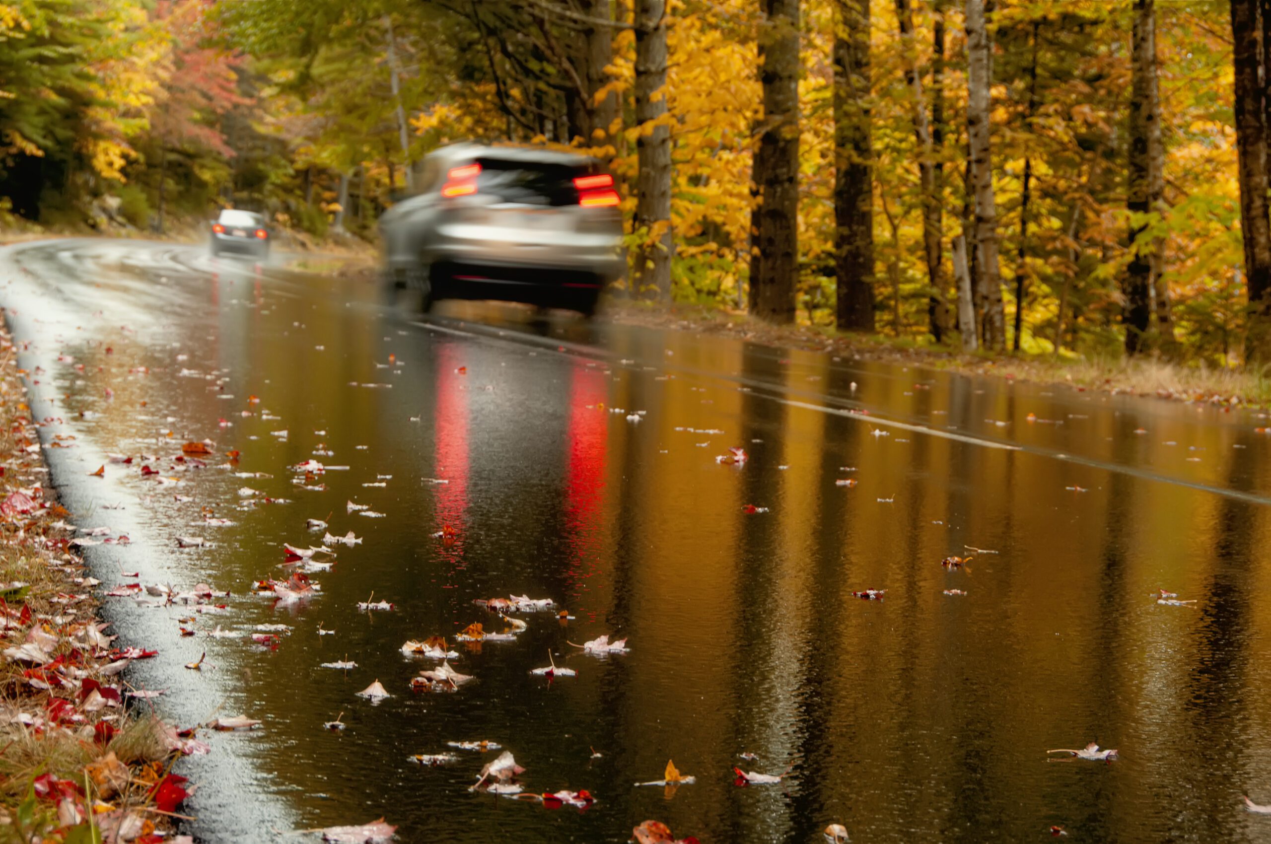 Wet asphalt road after the rain among the colorful autumn forest and a blurry image of moving cars