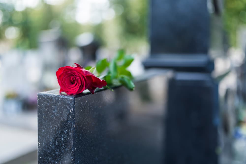 Close-up of a red rose placed on a gravestone, symbolizing love and loss. The withered rose highlights tragedy and sorrow in memory of a loved one.