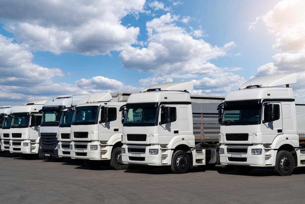 Many trucks standing in a row