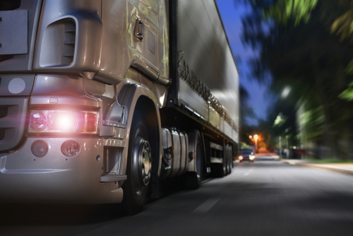 Truck driver photo